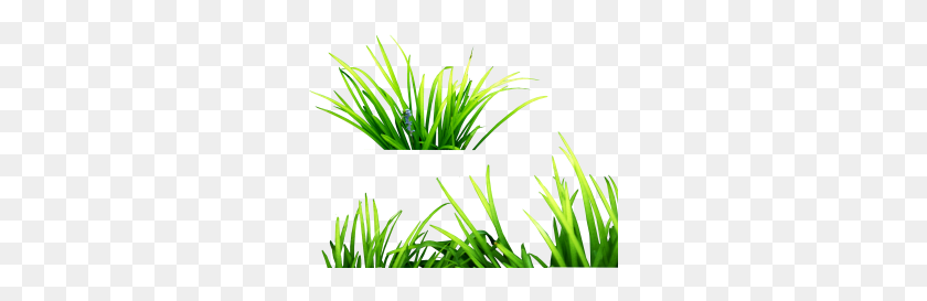 280x213 Tags - Lawn PNG