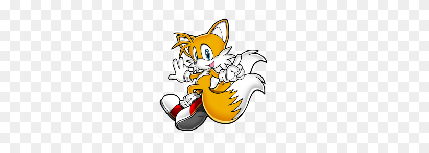 231x240 Tails - Tails PNG