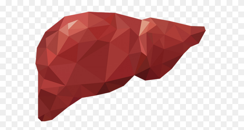 900x450 Take Care Of Your Liver - Liver PNG