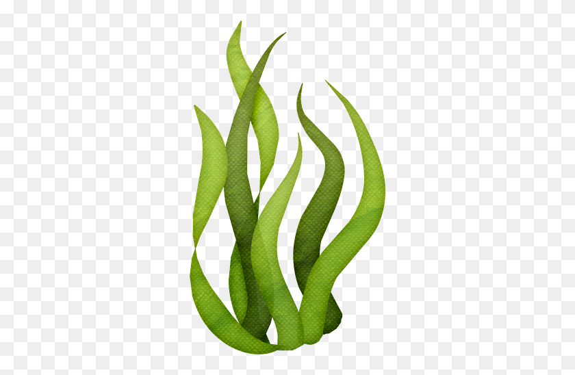 286x488 Tall Grass Silhouette Clip Art Gifs Y Fondos Pazenlatormenta - Seaweed PNG