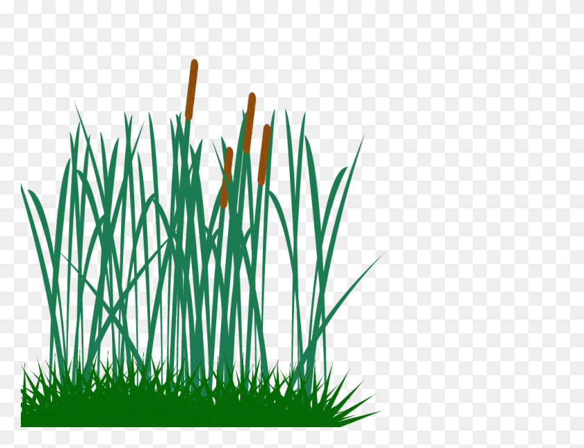 Tall Grass Transparent Png Pictures Ornamental Grass Png Stunning Free Transparent Png Clipart Images Free Download,Simple French Toast Recipe No Vanilla