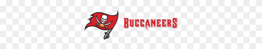 300x99 Tampa Bay Buccaneers Logo Vectors Free Download - Tampa Bay Buccaneers Logo PNG