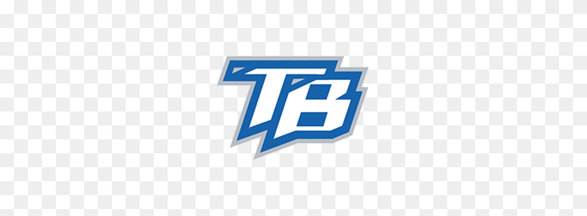 250x250 Tampa Bay Lightning Concept Logo Sports Logo History - Tampa Bay Lightning Logo PNG