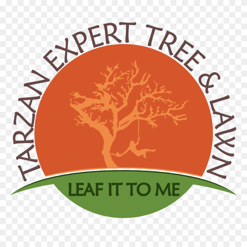1000x1000 Tarzan Expert Tree And Lawn - Tarzan PNG