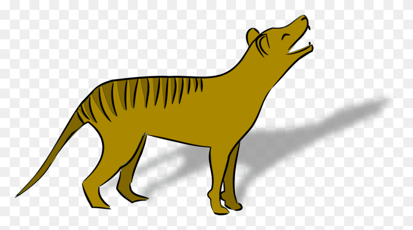 1431x750 Tasmanian Devil Thylacine Fauna Of Australia Tiger - Devil Tail Clipart