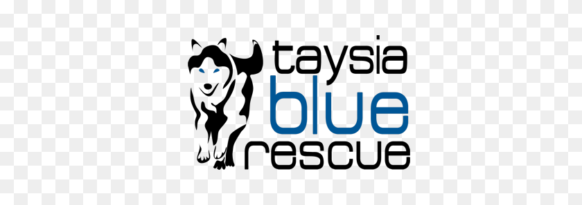 382x237 Taysia Blue Siberian Husky Rescue Nebraska, Iowa, Missouri - Siberian Husky Clipart