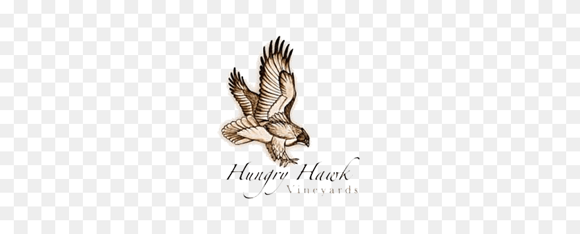 280x280 Tbr Presenta Hungry Hawk Enólogo De La Cena De La Sala De Barriles - Halcón Png