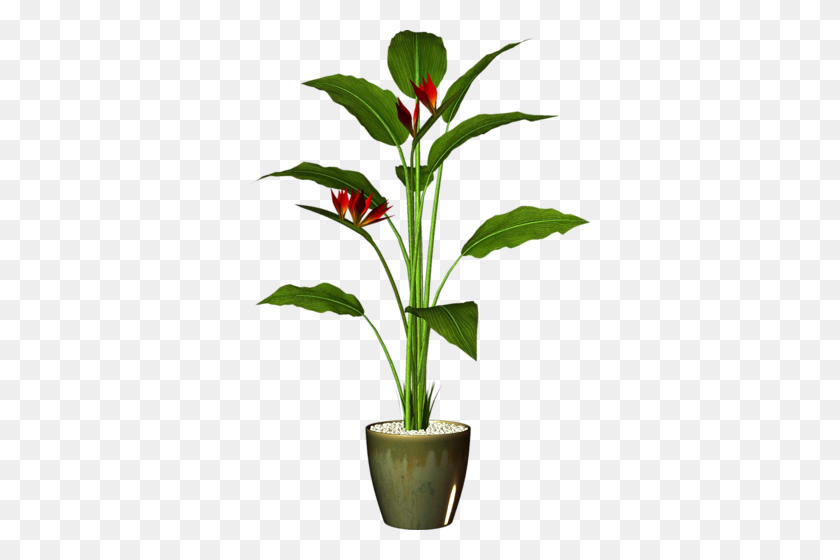 341x500 Цветы В Горшках Веревочки Растения, Сад - Комнатное Растение Png