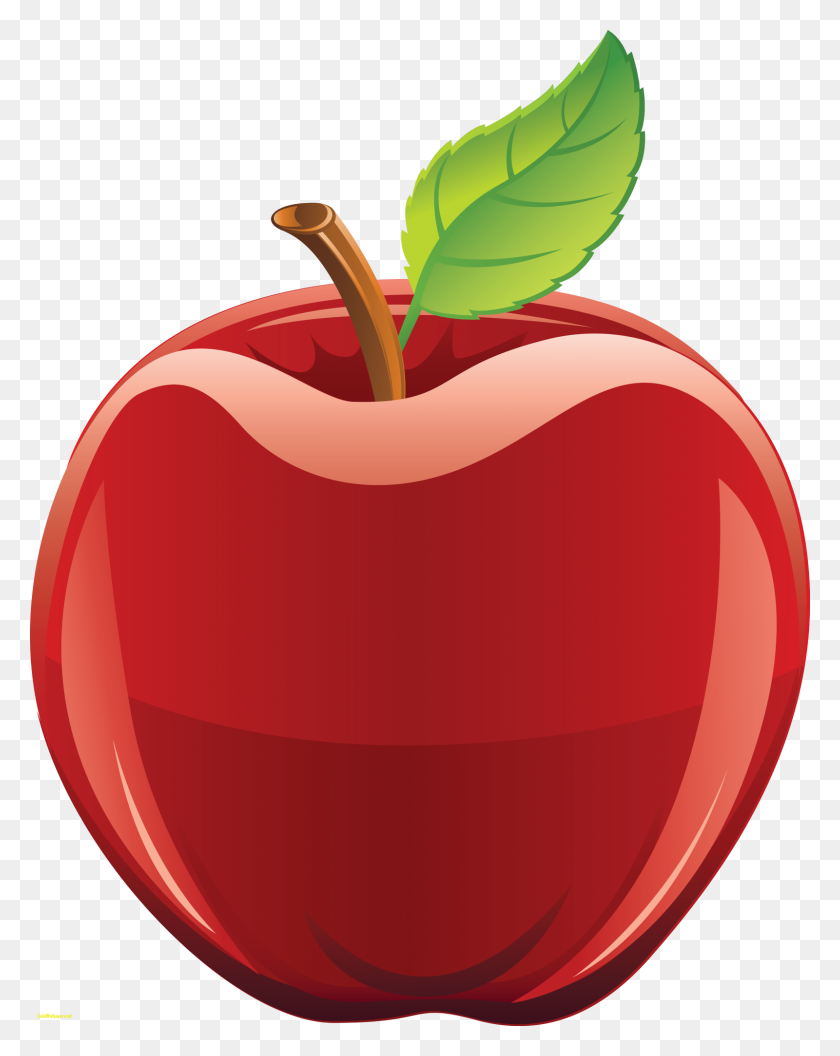 1600x2044 Maestra Apple Clipart Clipartclipart Simple Red Clipart - Free Apple Clipart For Teachers