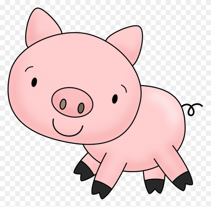 800x783 Teacup Pigs For Adoption Sale - Charlottes Web Clipart