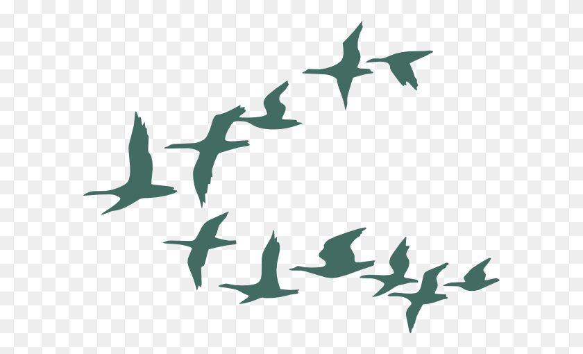 600x450 Teal Flock Of Geese Clip Art - Flock Of Sheep Clipart