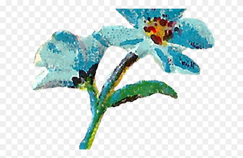 1368x855 Teal Flower Clip Art Gardening Flower And Vegetables - Watercolor Flower Clipart