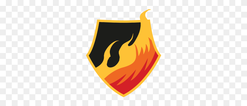 300x300 Team Fire - Fire Logo PNG