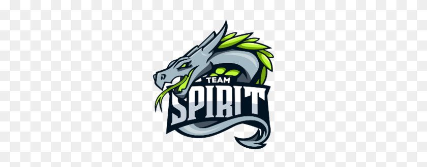 270x270 Team Spirit - Pubg Logo PNG