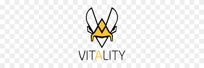 220x220 Team Vitality - Player Unknown Battlegrounds Logo PNG