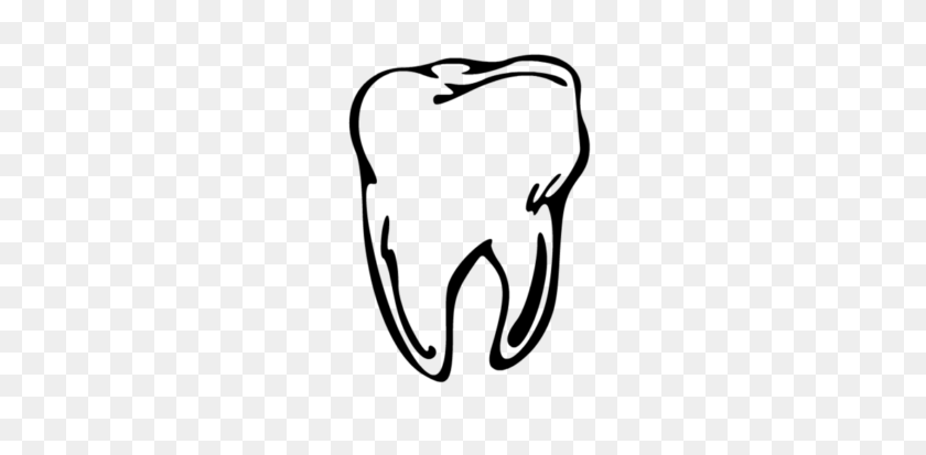 353x353 Teeth Clipart Molar - Free Dental Clipart