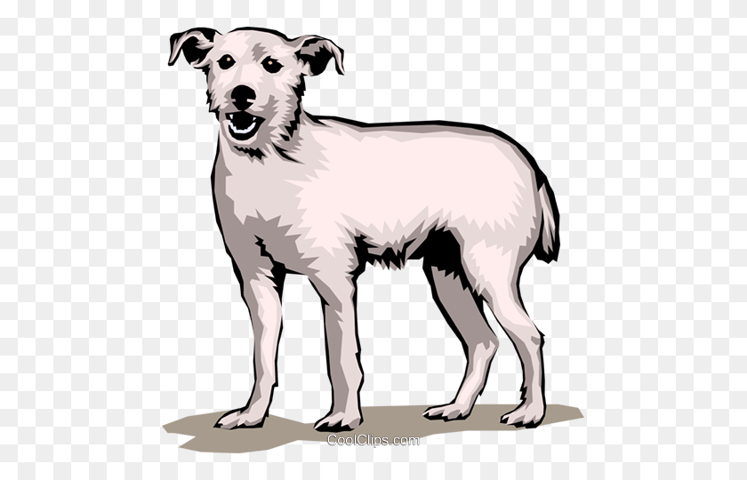 475x480 Terrier Dog Royalty Free Vector Clip Art Illustration - Terrier Clipart