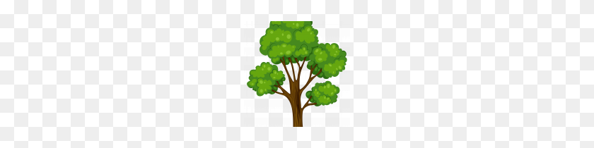 150x150 Tested Clipart Images Of Trees Rainforest Graphics Illustrations - Rainforest Tree Clipart