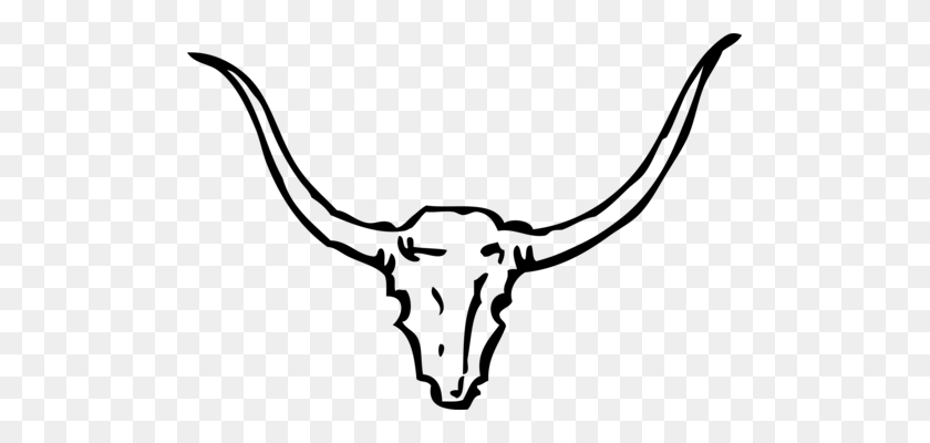 501x340 Texas Longhorn English Longhorn Angus Cattle Bull - Angus Cow Clipart