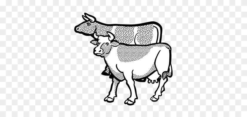 351x340 Texas Longhorn English Longhorn Angus Ganado Toro - Vaca De Imágenes Prediseñadas En Blanco Y Negro