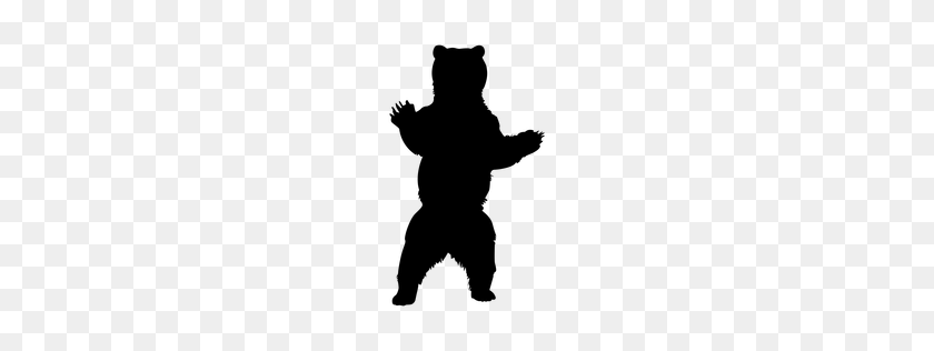 256x256 Texture Patterns Pngs - Bear Standing Up Clipart