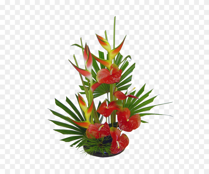 640x640 Gracias - Flores Tropicales Png