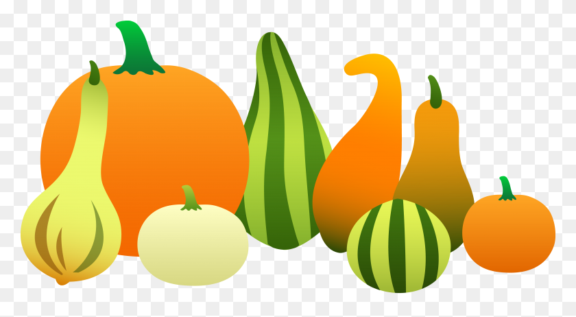 6452x3326 Thanksgiving Harvest Gourds - Row Of Pumpkins Clipart