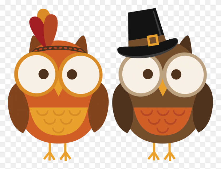 800x599 Thanksgiving Owl Clipart Nice Clip Art - Owl Clipart