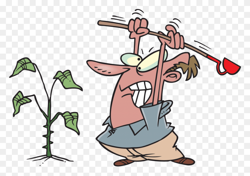 1024x698 Thc Does Berlin Have The Strongest Weed In The World - Pulling Weeds Clipart