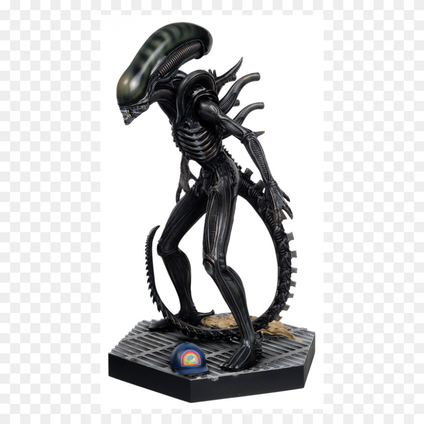 800x800 The Alien Predator Estatuilla De La Colección De La Estatua De Mega Alien Xenomo - Xenomorph Png