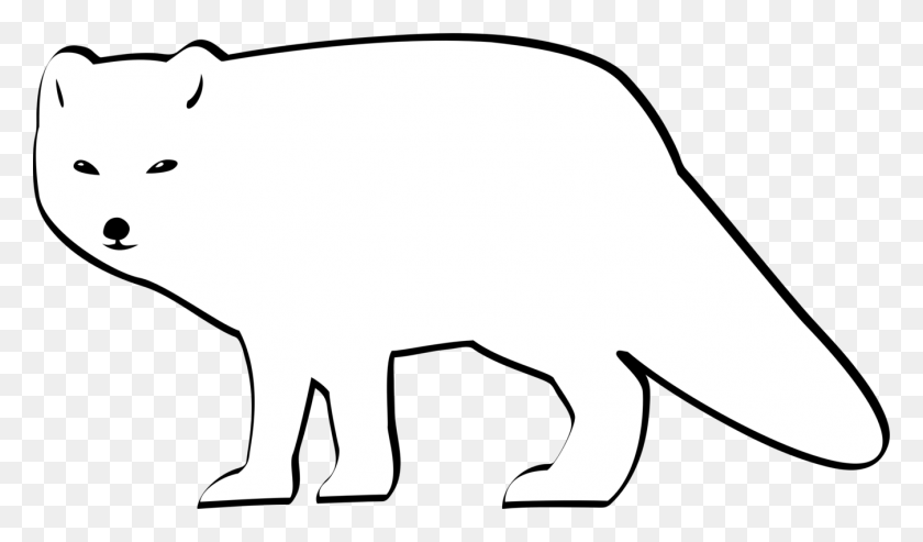 1348x750 Рисунок Песца - Белый Медведь Черно-Белый Клипарт