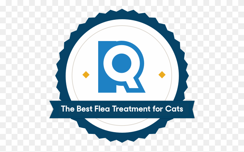 508x462 The Best Flea Treatments For Cats - Flea PNG