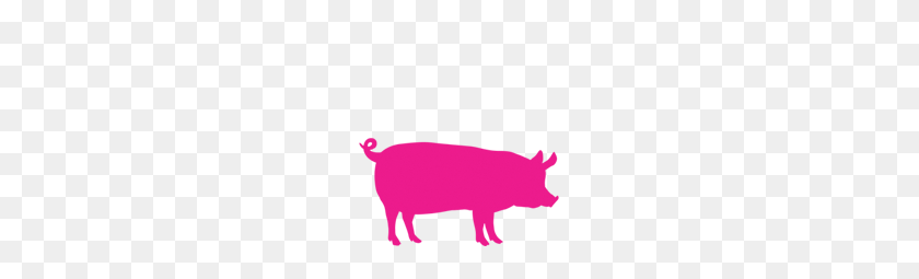 337x195 The Best Pulled Pork Sandwich In Edinburgh - Pig Roast Clip Art