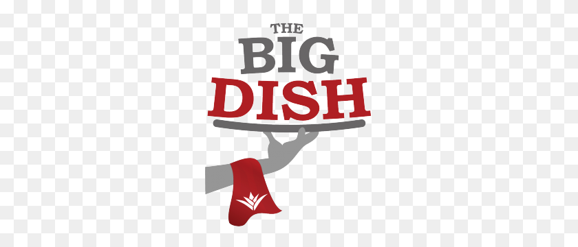 244x300 The Big Dish - Osu Logo PNG