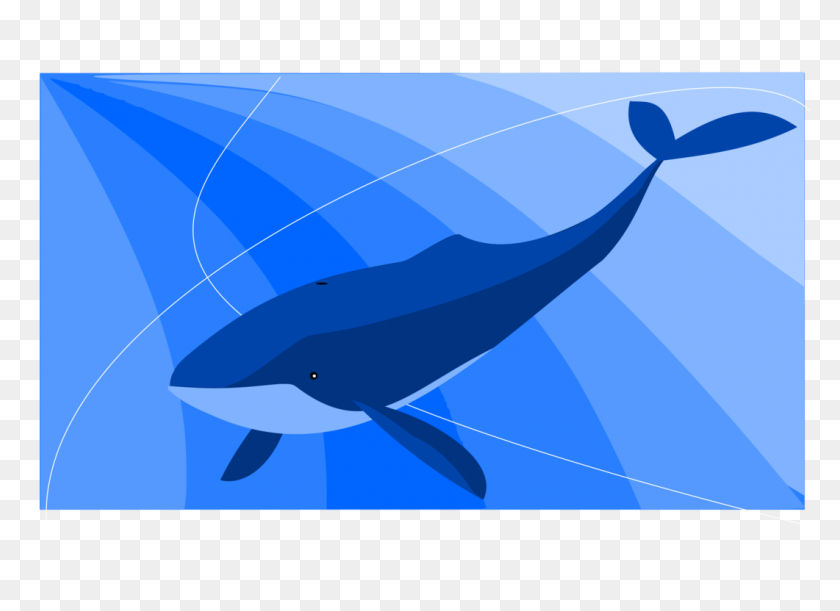 1061x750 The Blue Whale Baleen Whale Common Bottlenose Dolphin Killer Whale - Whale Clipart Free
