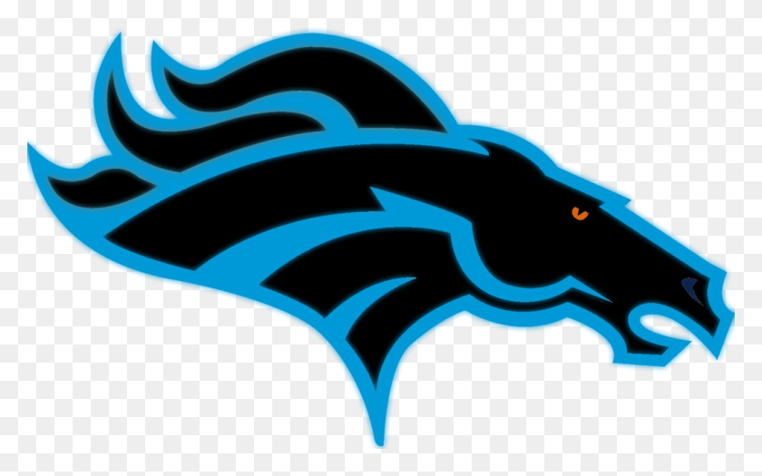 1024x611 The Carolina Panthers - Carolina Panthers Logo PNG