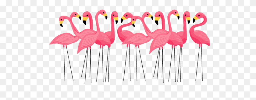 1200x413 El Color Flamingo Pink - Pink Flamingo Clipart
