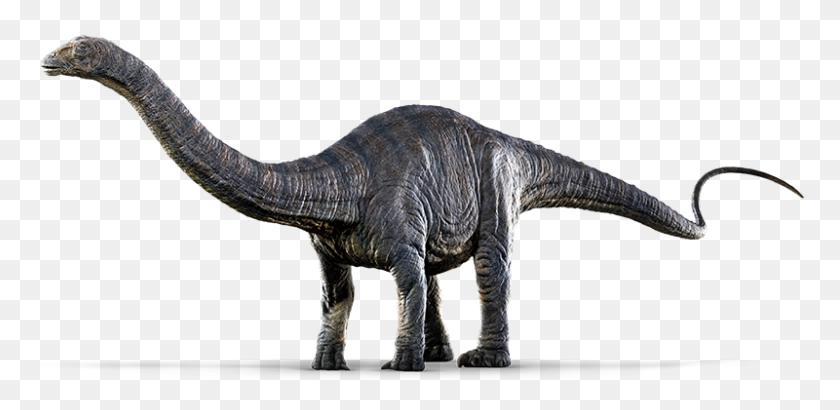 800x359 El Grupo De Protección De Dinosaurios Ha Hackeado La Isla Nublar Jurassic - Jurassic World Clipart