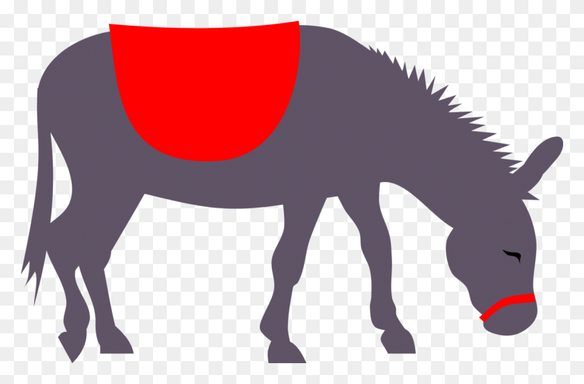 1186x750 El Paseo En Burro De Iconos De Equipo Ecuestre Descargar - Pony Rides Clipart