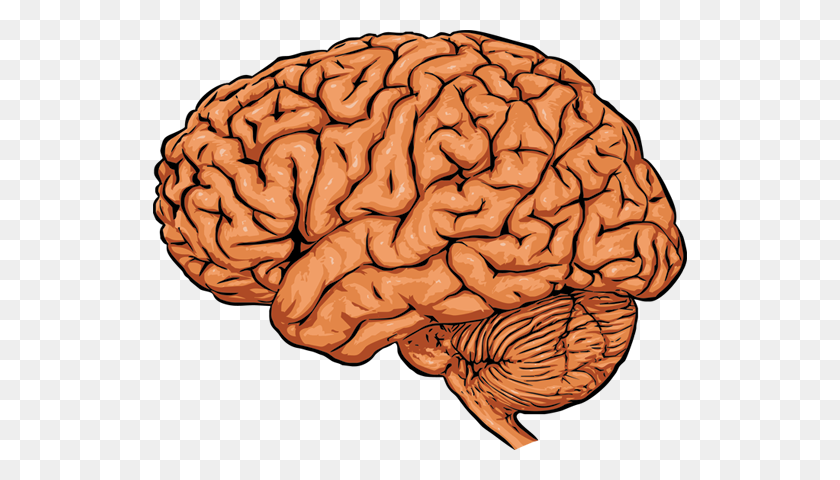 700x420 Умирающая Часть Мозга Здоровья Чикаго - Человеческий Мозг Png