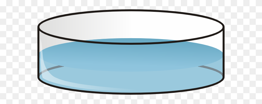 600x275 The Editing Of Petri Dishes Free Download Png Vector - Dishes PNG