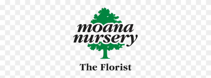 256x250 Флорист - Логотип Моана Png