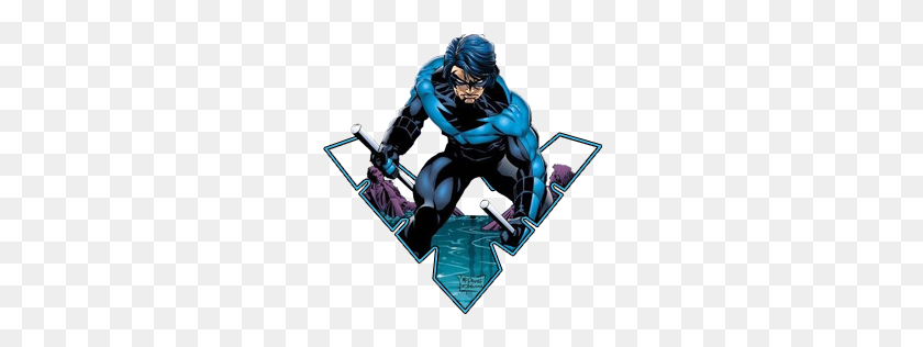 256x256 The Google Game - Nightwing PNG