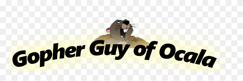 3000x850 The Gopher Guy Of Ocala - Dirt Pile PNG