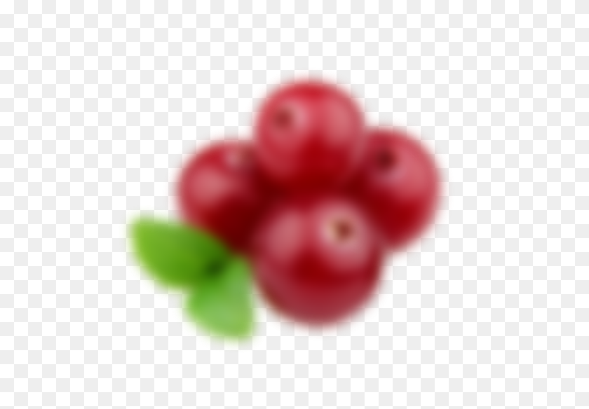 524x524 The Green Labs Llc Cranberry Extract Big Blur - Cranberry PNG