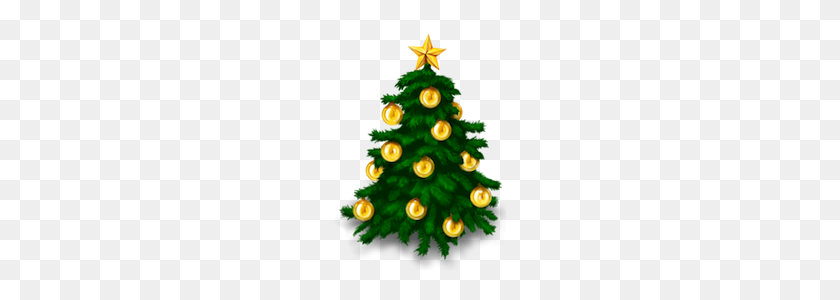 173x240 The History Of Christmas Trees - Tree Top View PNG