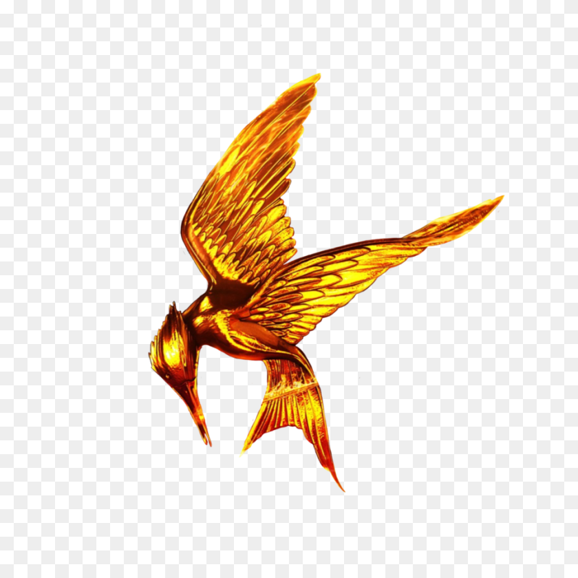 894x894 The Hunger Games Png Free Download - Hunger Games PNG