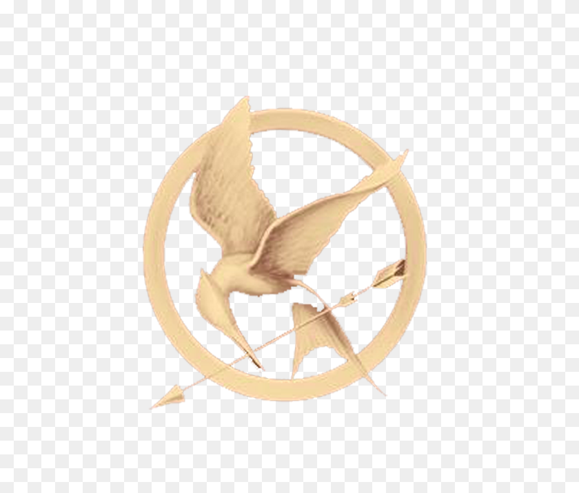 500x656 The Hunger Games Png Transparent The Hunger Games Images - Hunger Games PNG
