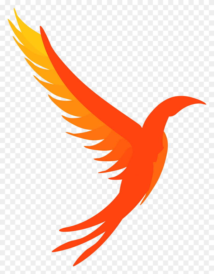 1583x2057 The Illumos Logo - Phoenix Logo PNG