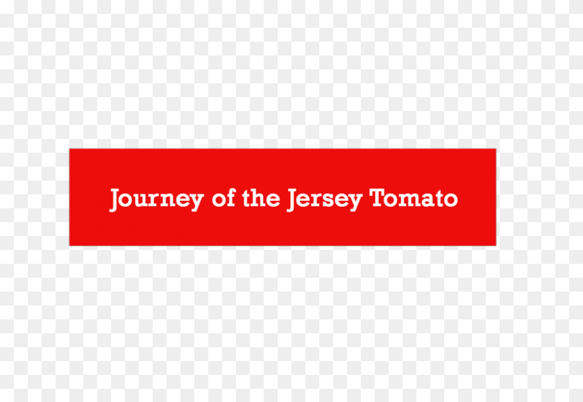 800x533 El Tomate Jersey Co - Tomate Png